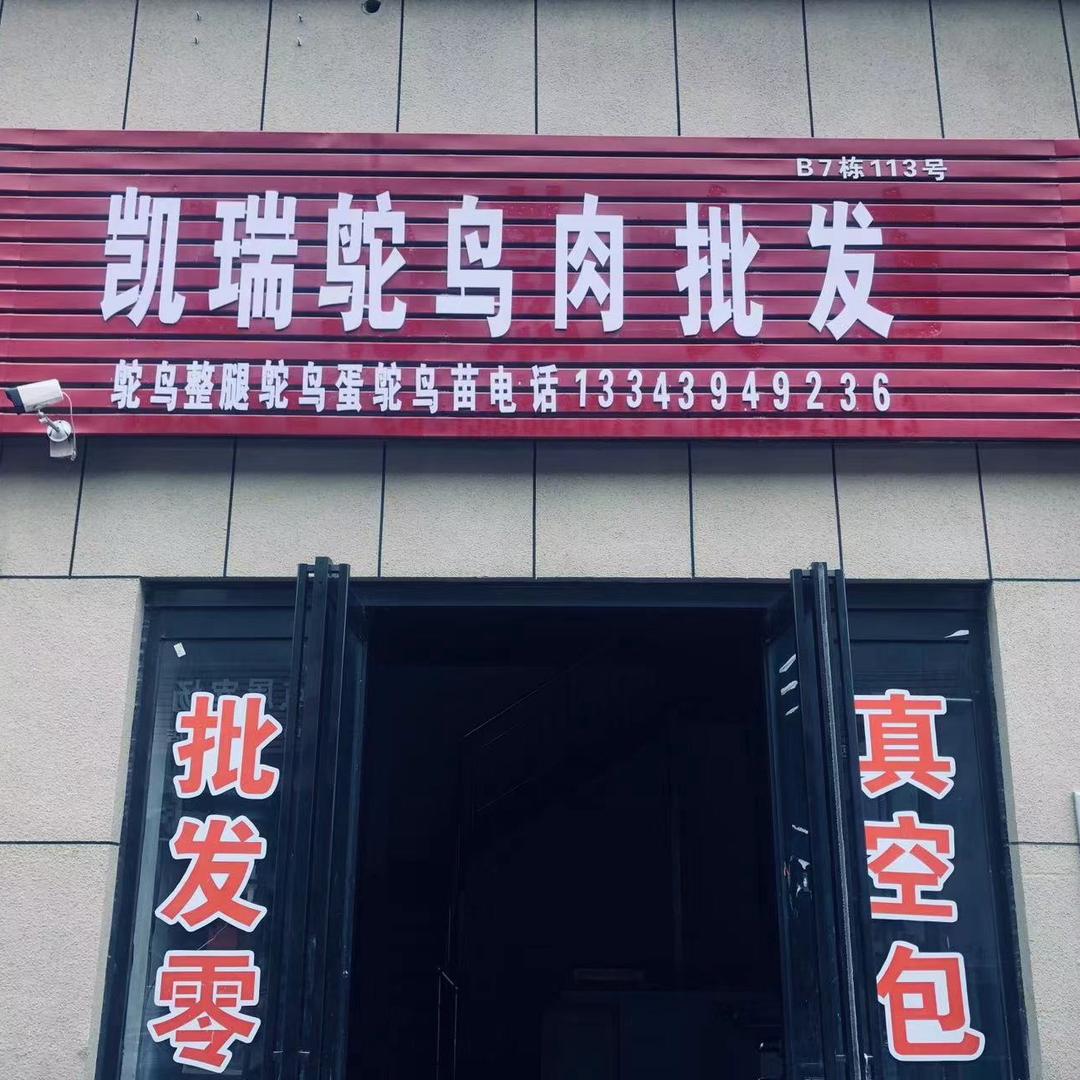 周口鸵鸟养殖基地