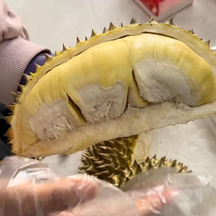 靖边榴莲屋