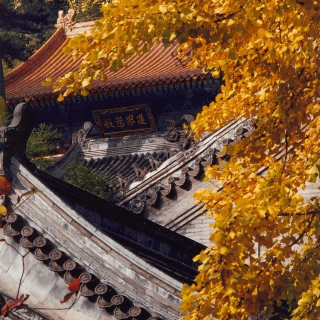 梵念