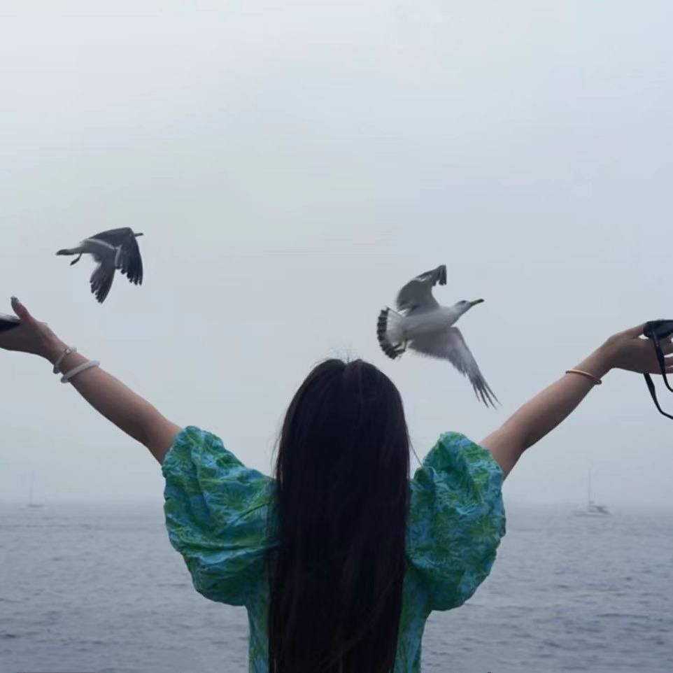 hi南北