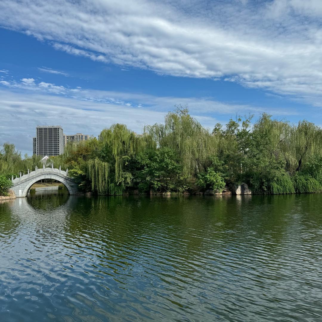 思思～（艾迪传媒）