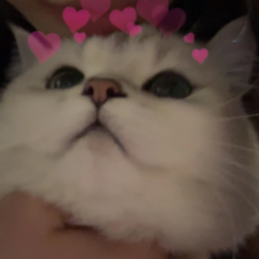 茉莉公主～