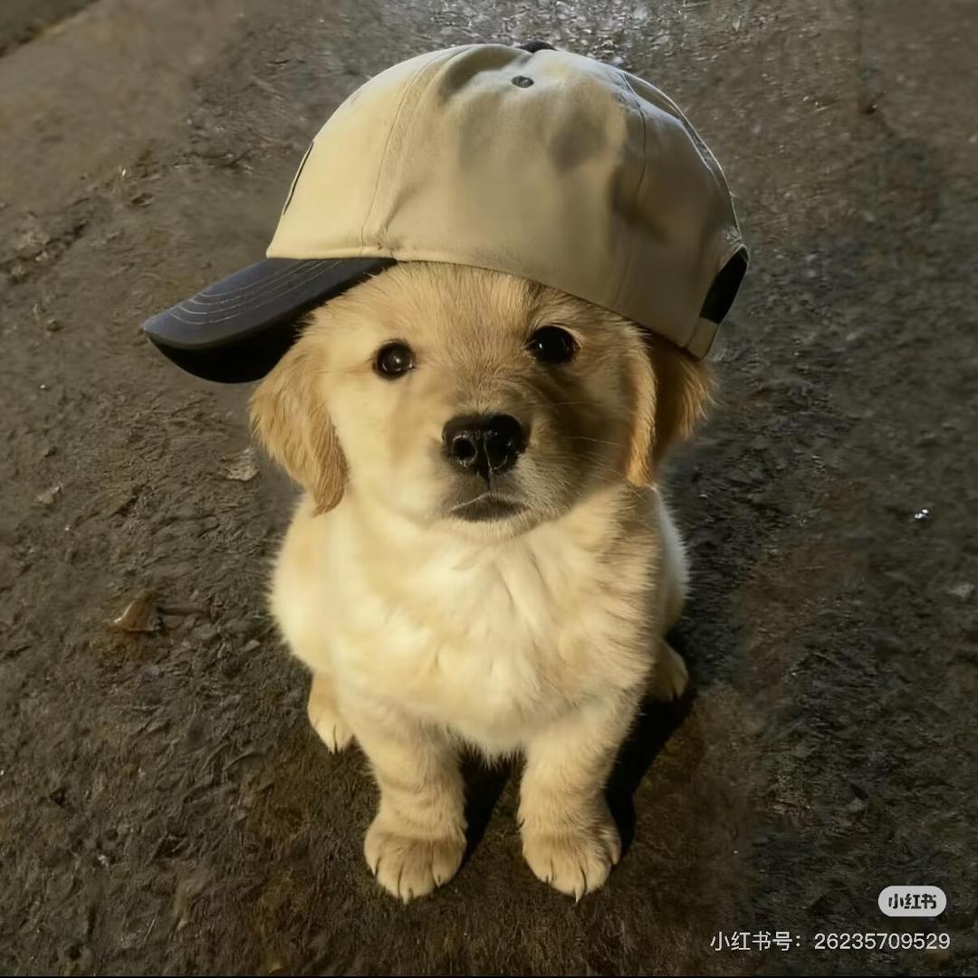 Si‿i🧢