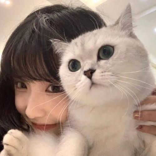 大平子爱养猫