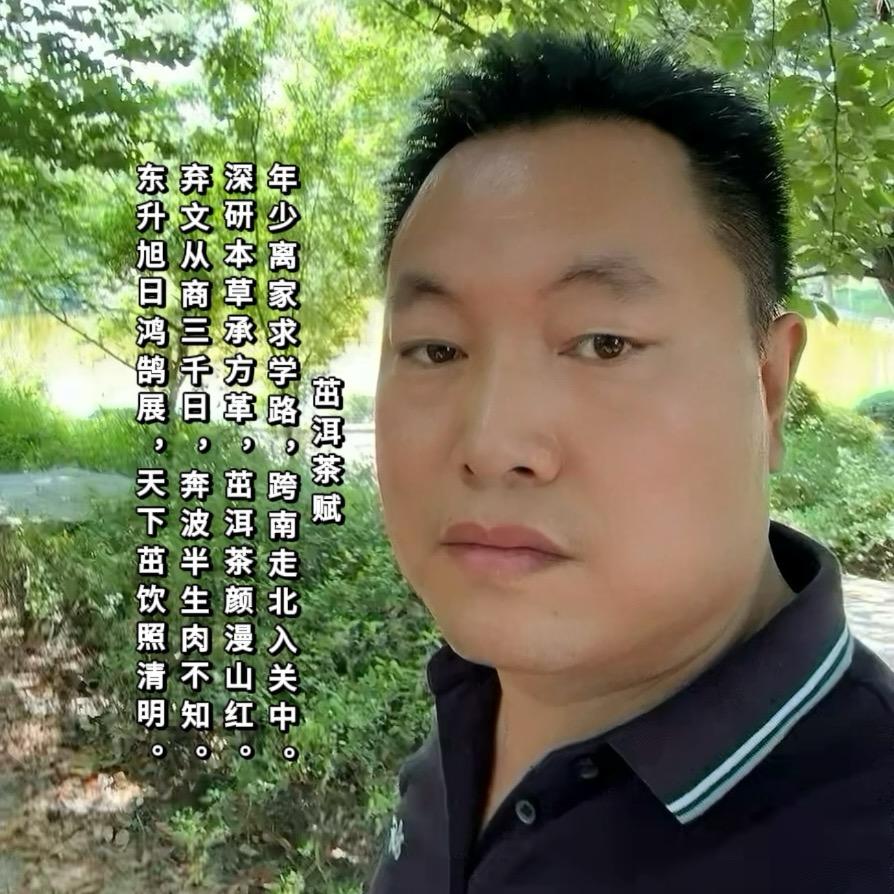 茁洱茶