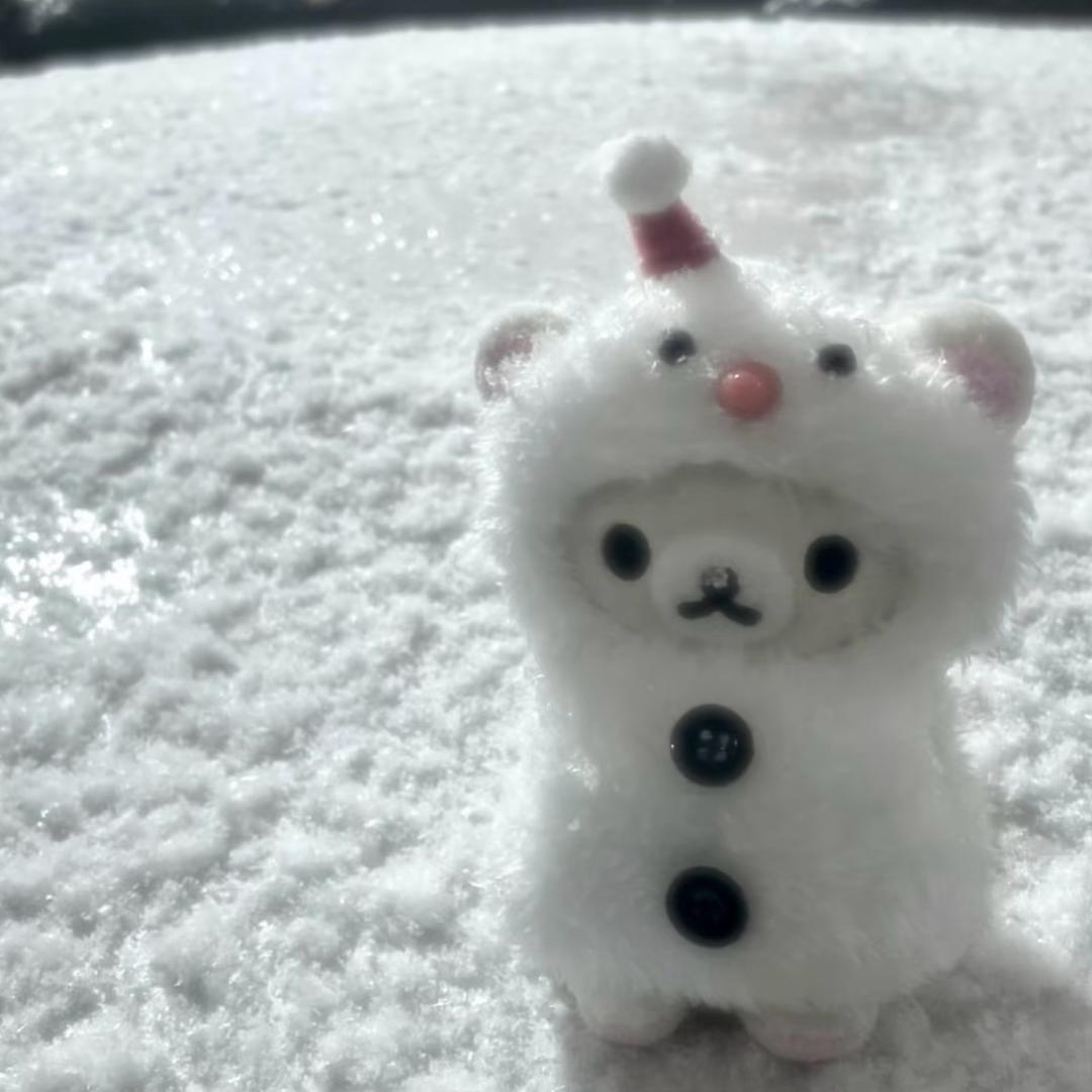 骑着鱼的神秘绿毛