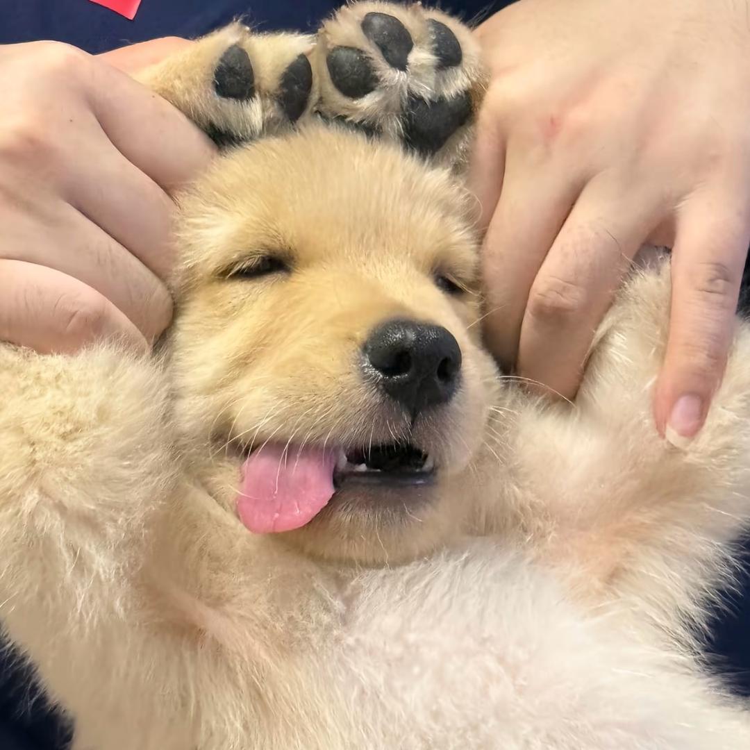 小孩🫧
