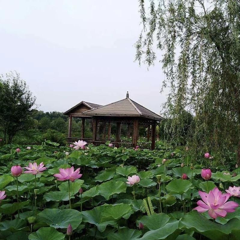 铁岭市旅游产业发展有限公司