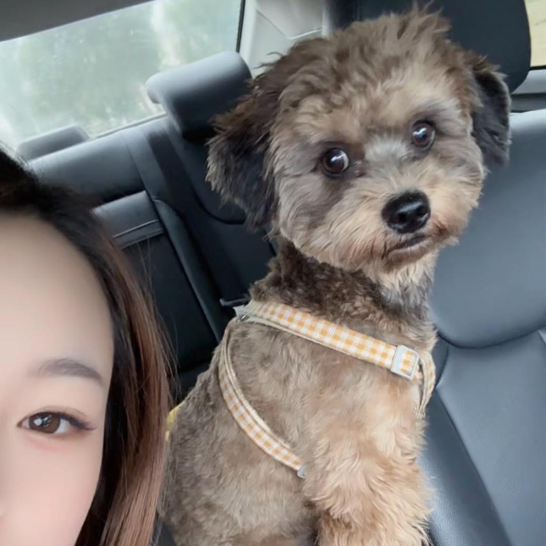 💞愿时光ꦿ待 ꦿ我ꦿ如ꦿ 初ཀྀ࿐