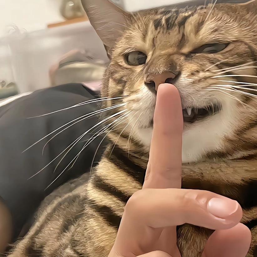迷人潘小程