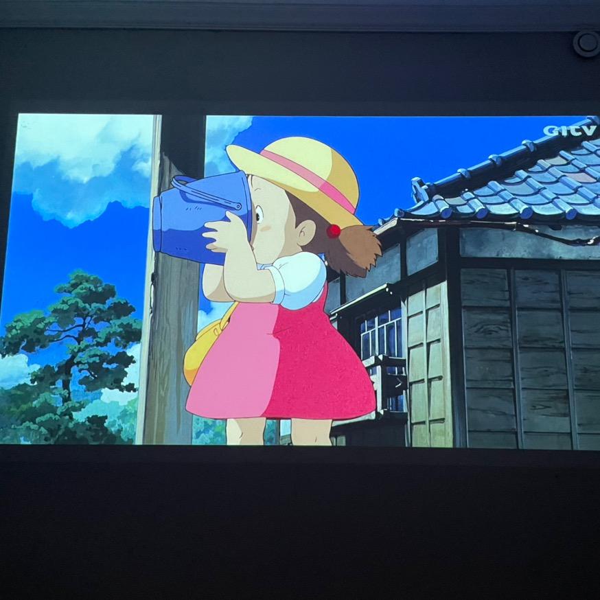 酸奶小窝🏠