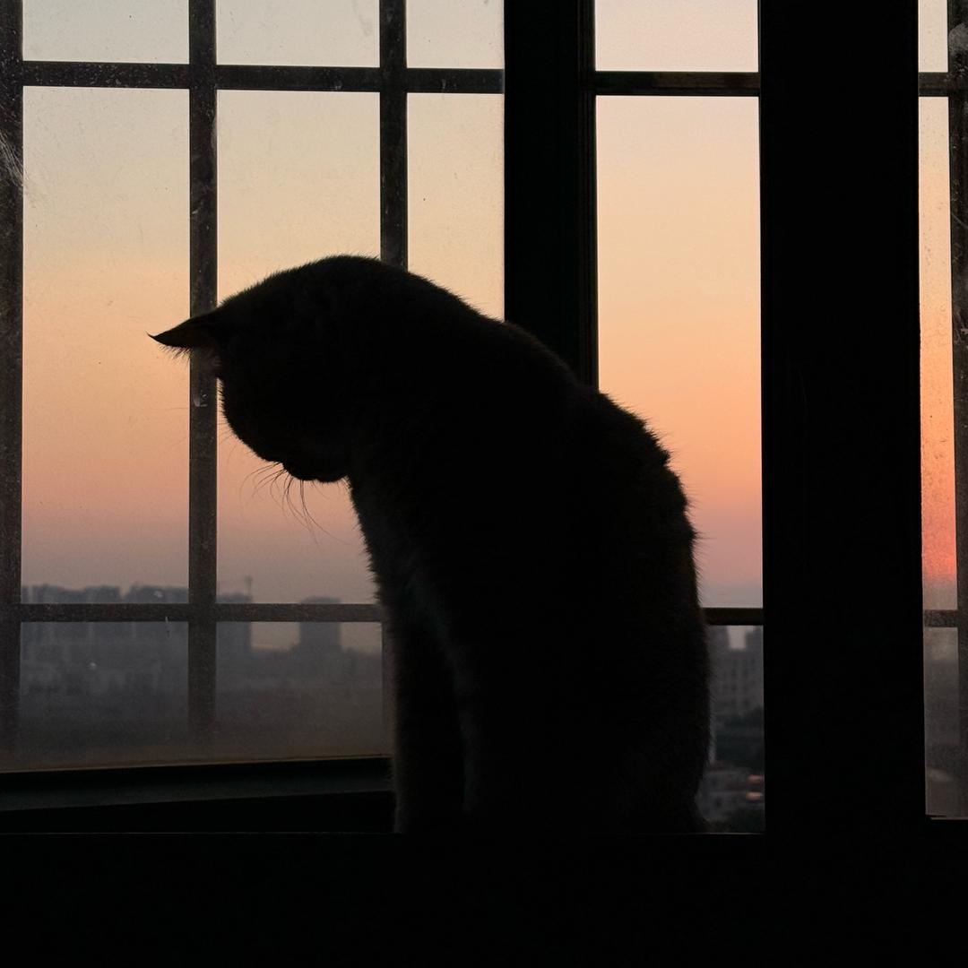 逢春渡