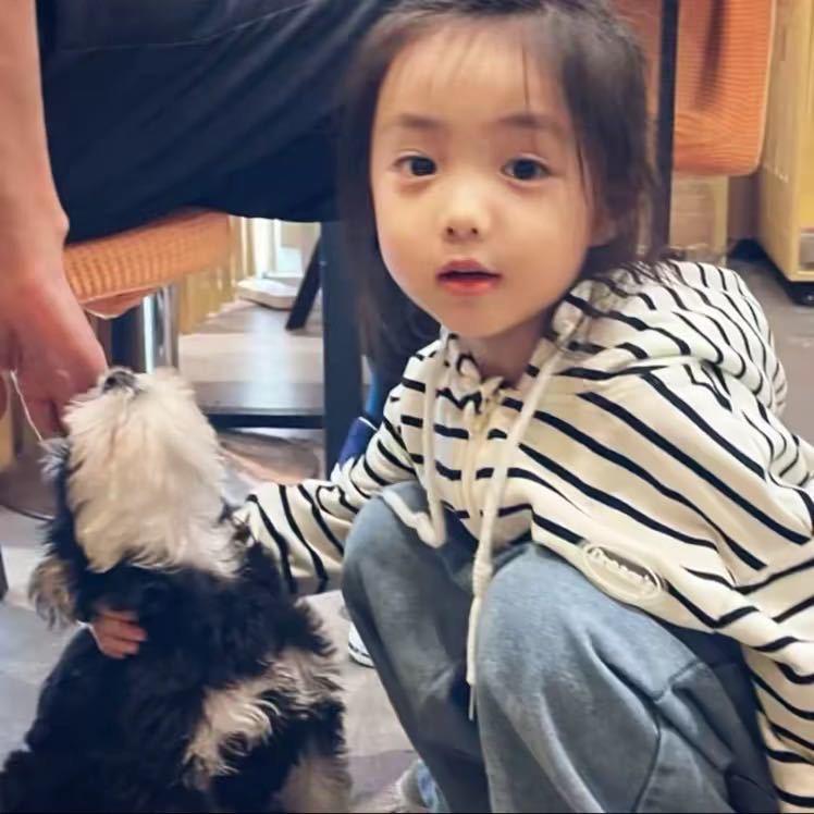 妃子-