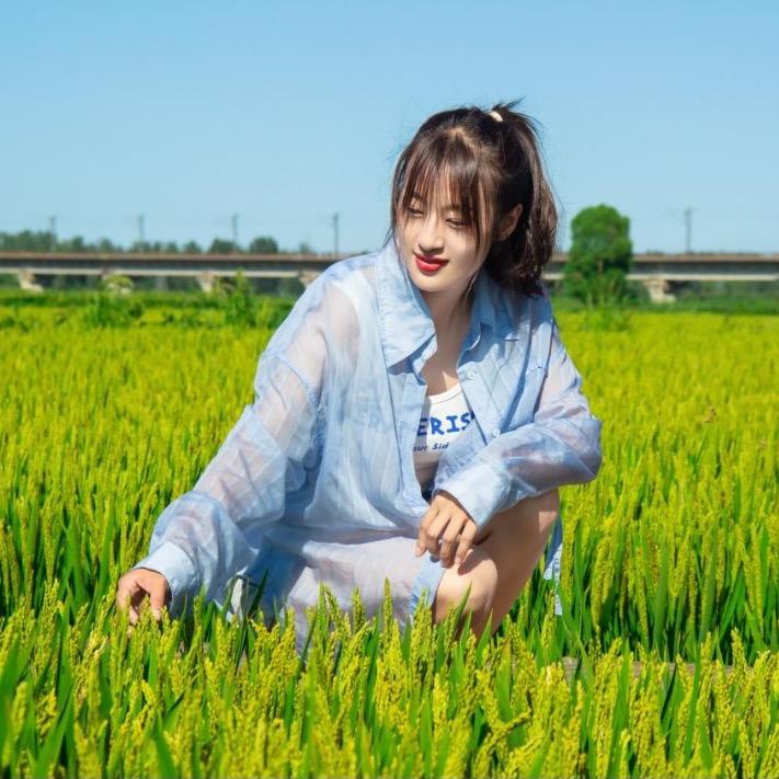 村头小佳