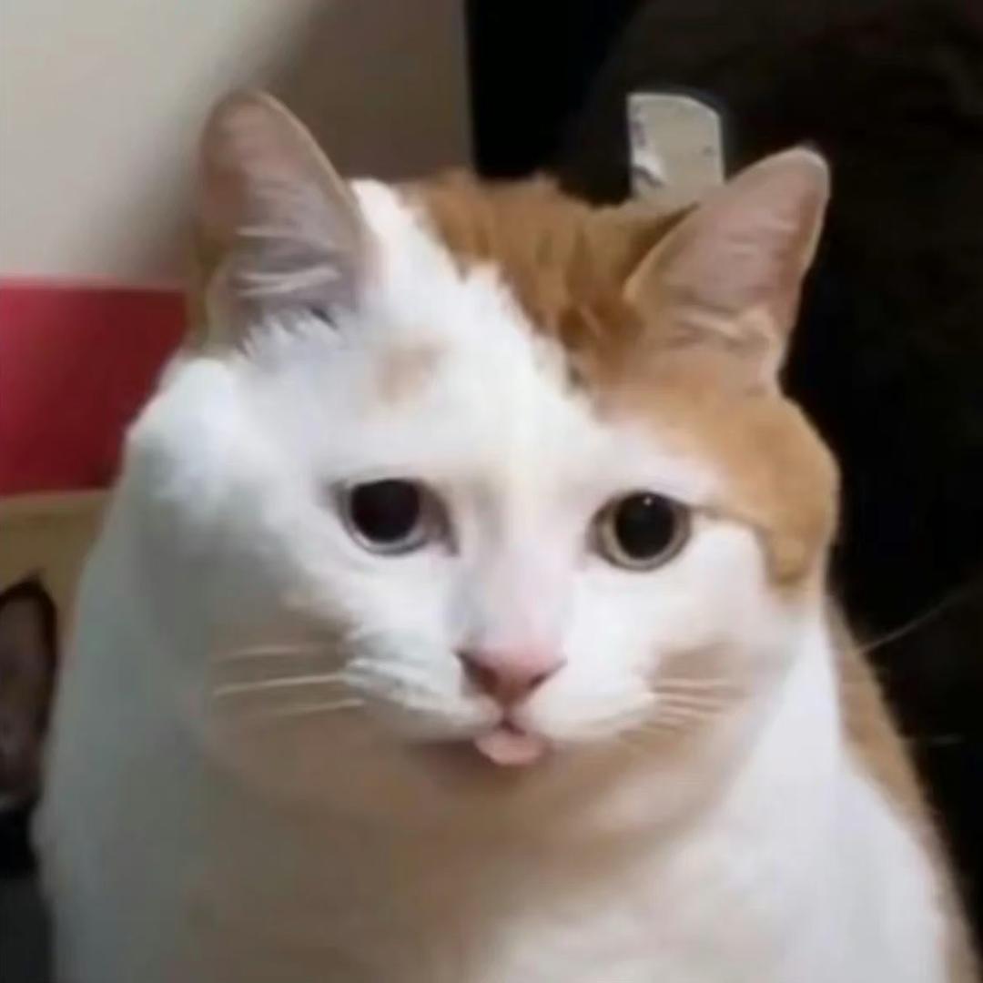 保安亭下吃西瓜