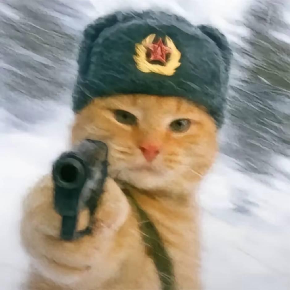 不识有我
