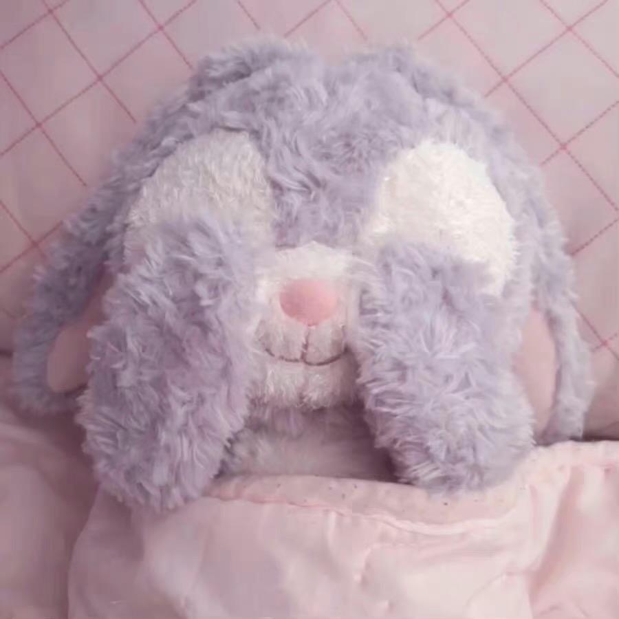 可可可耐小圆狐💛🌱