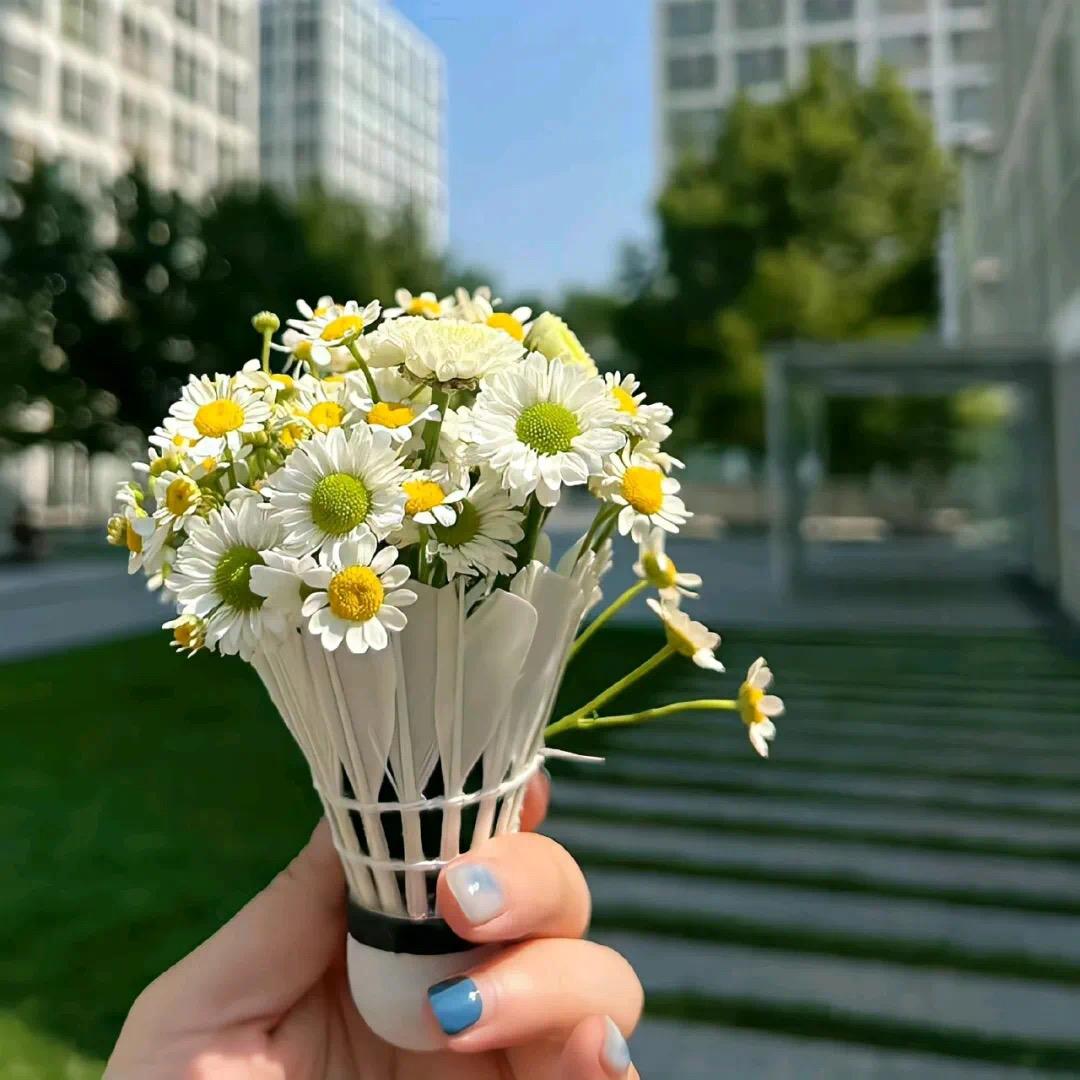 এ᭄໊ۣۖۖ🧜🏻‍♀️把梦留给海🌊