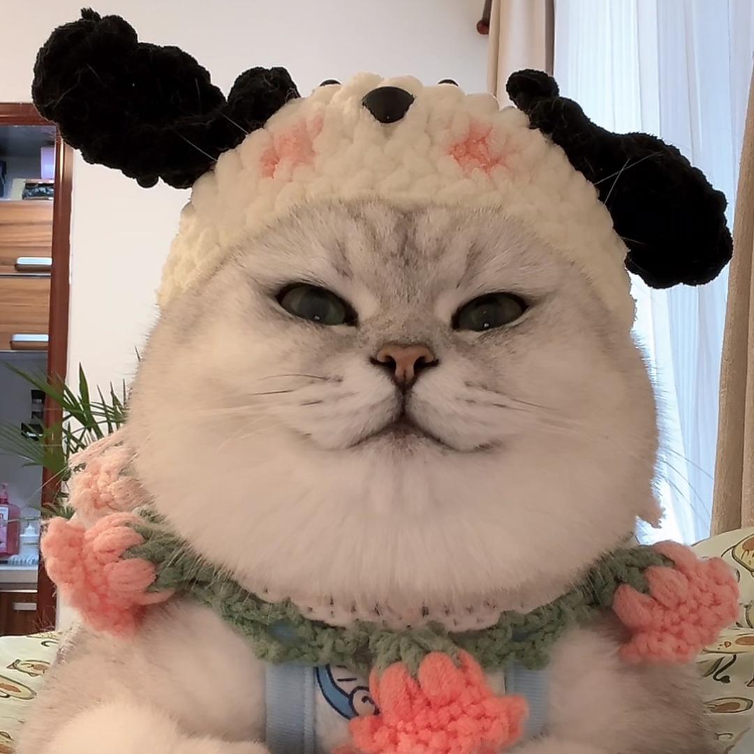 山本兮