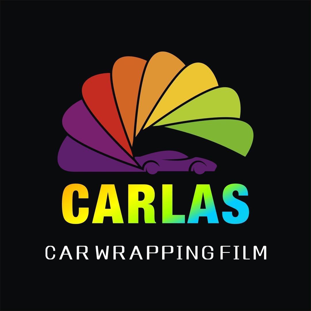 卡莱斯改色车衣