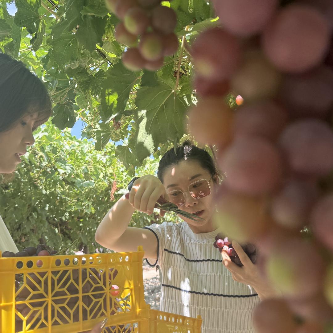 新疆沐沁好物精选