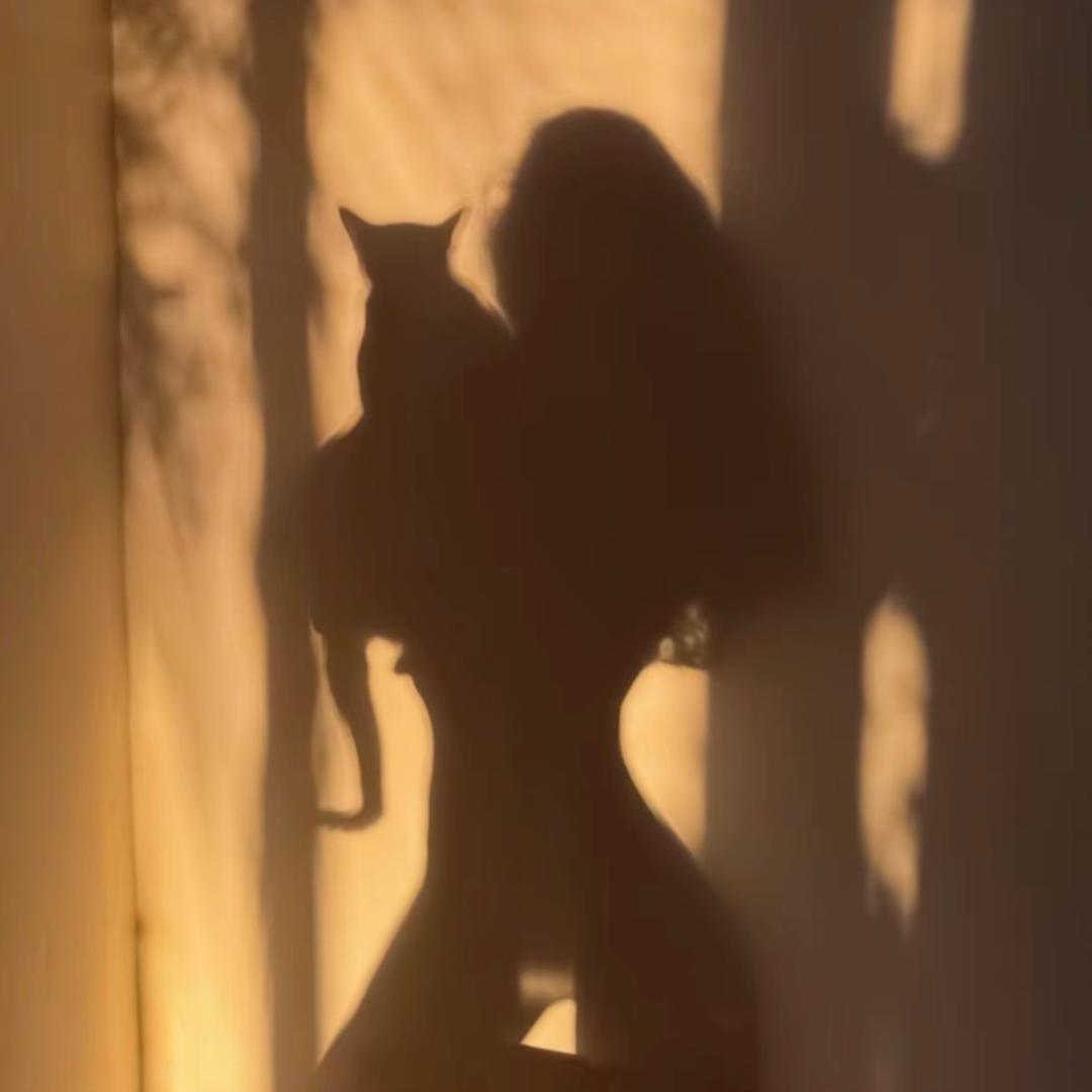 Sexydragon
