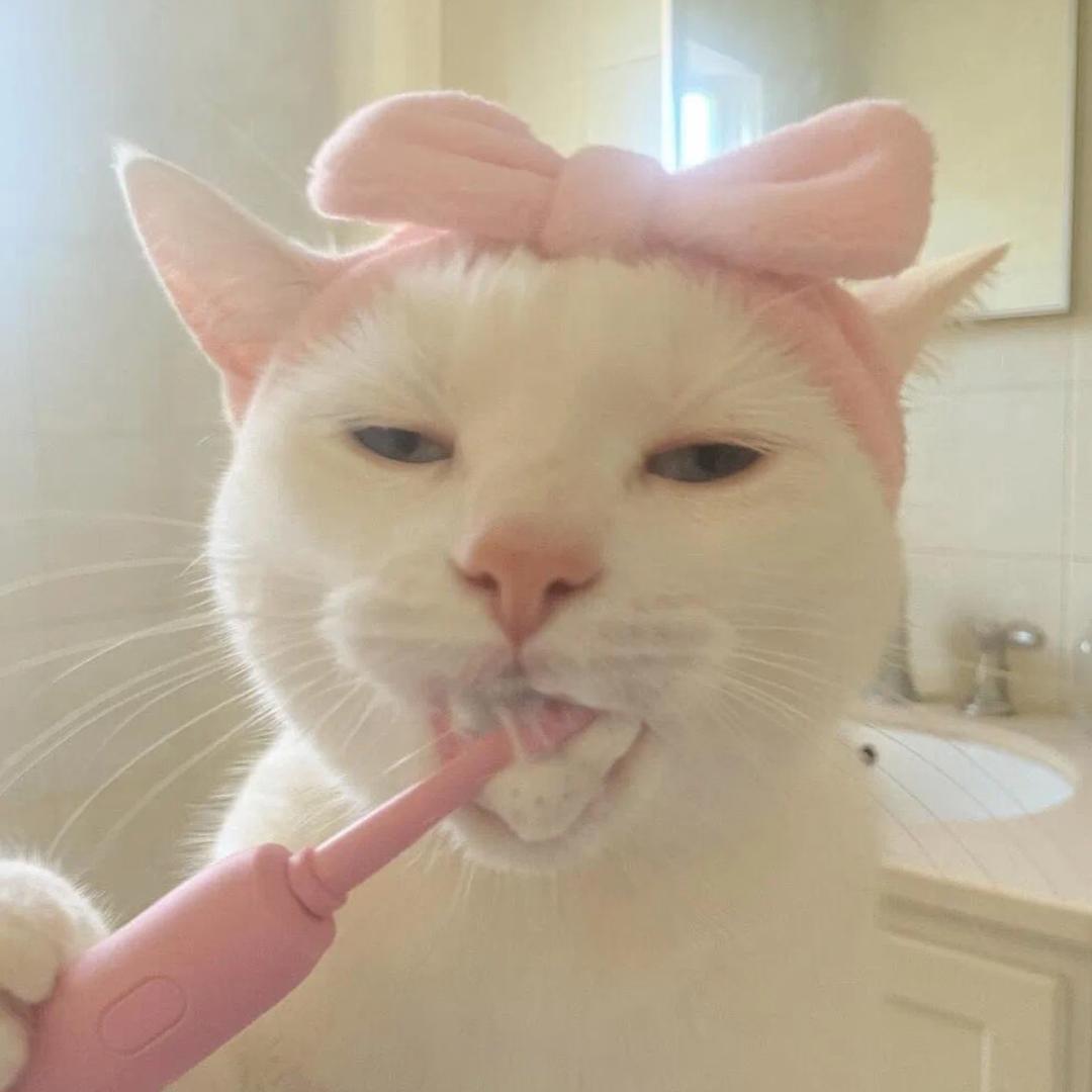 姜姨