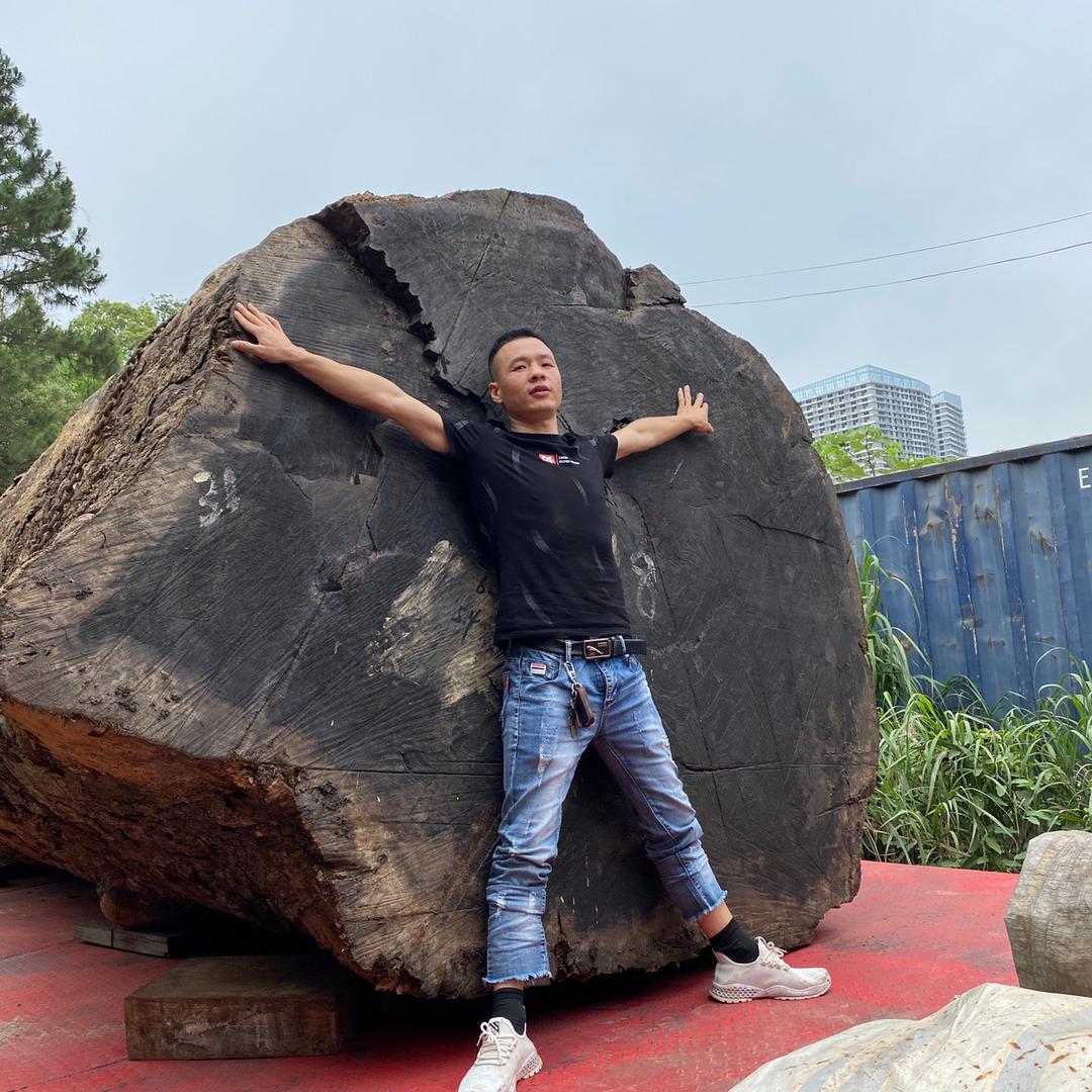 枯木之春