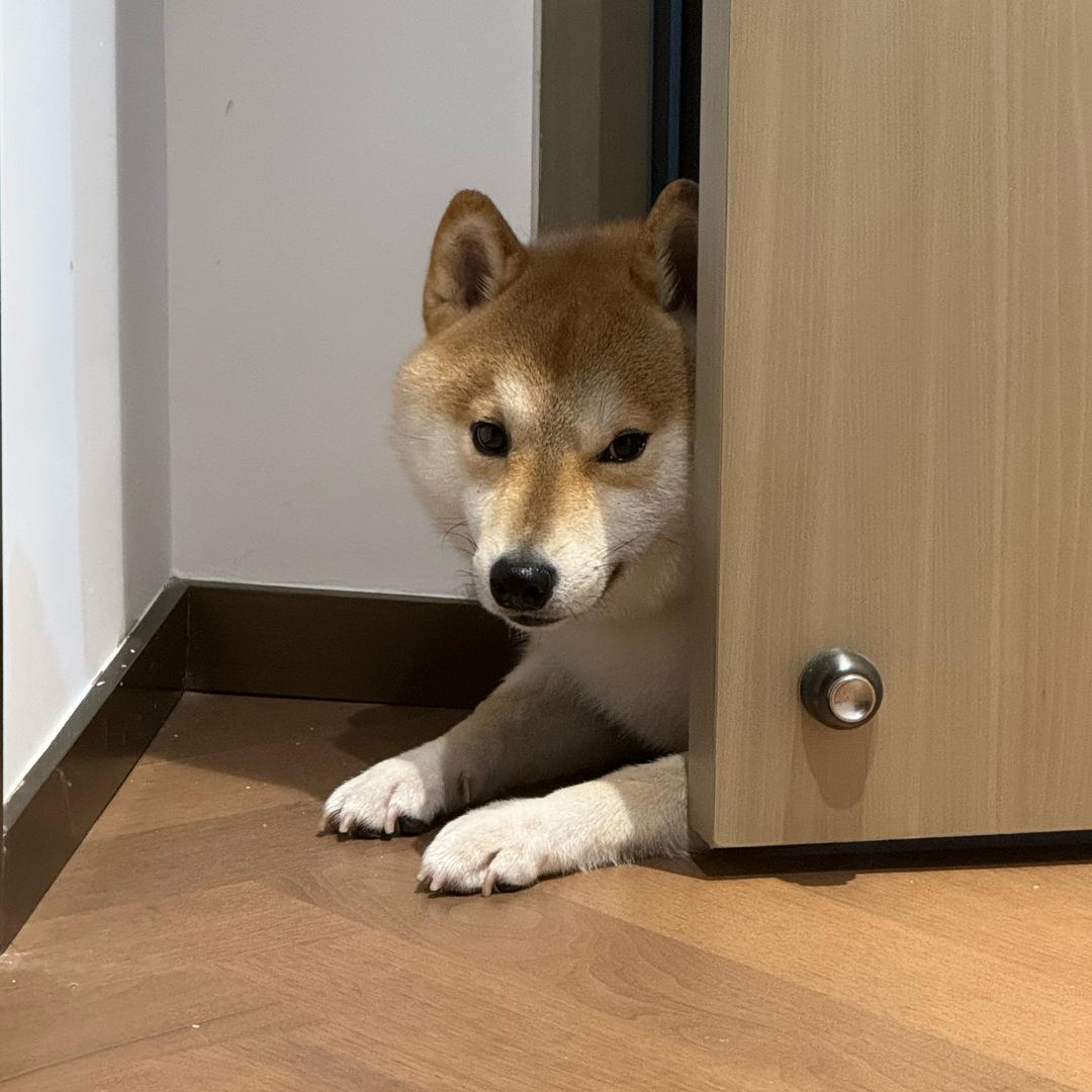 宰割