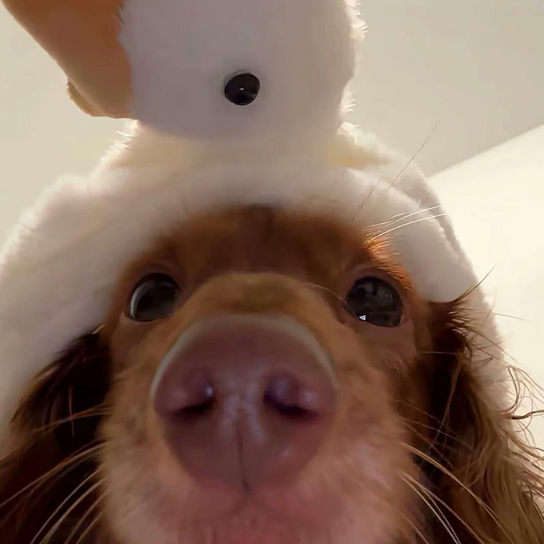 别逼傻子学数理化