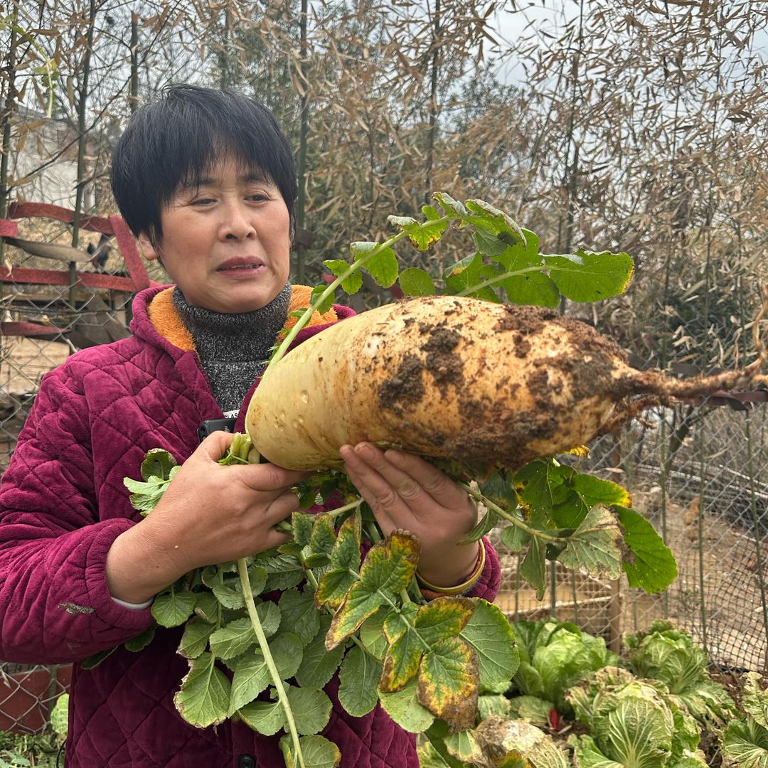 乡村好山货（坛芝味萝卜条）