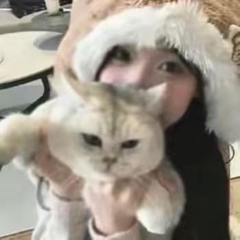 辰游美美
