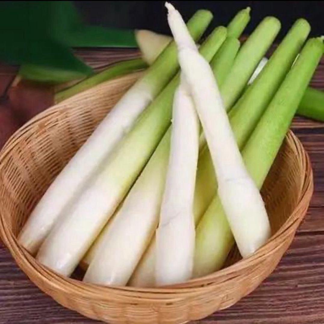 精品茭白加工（小徐）