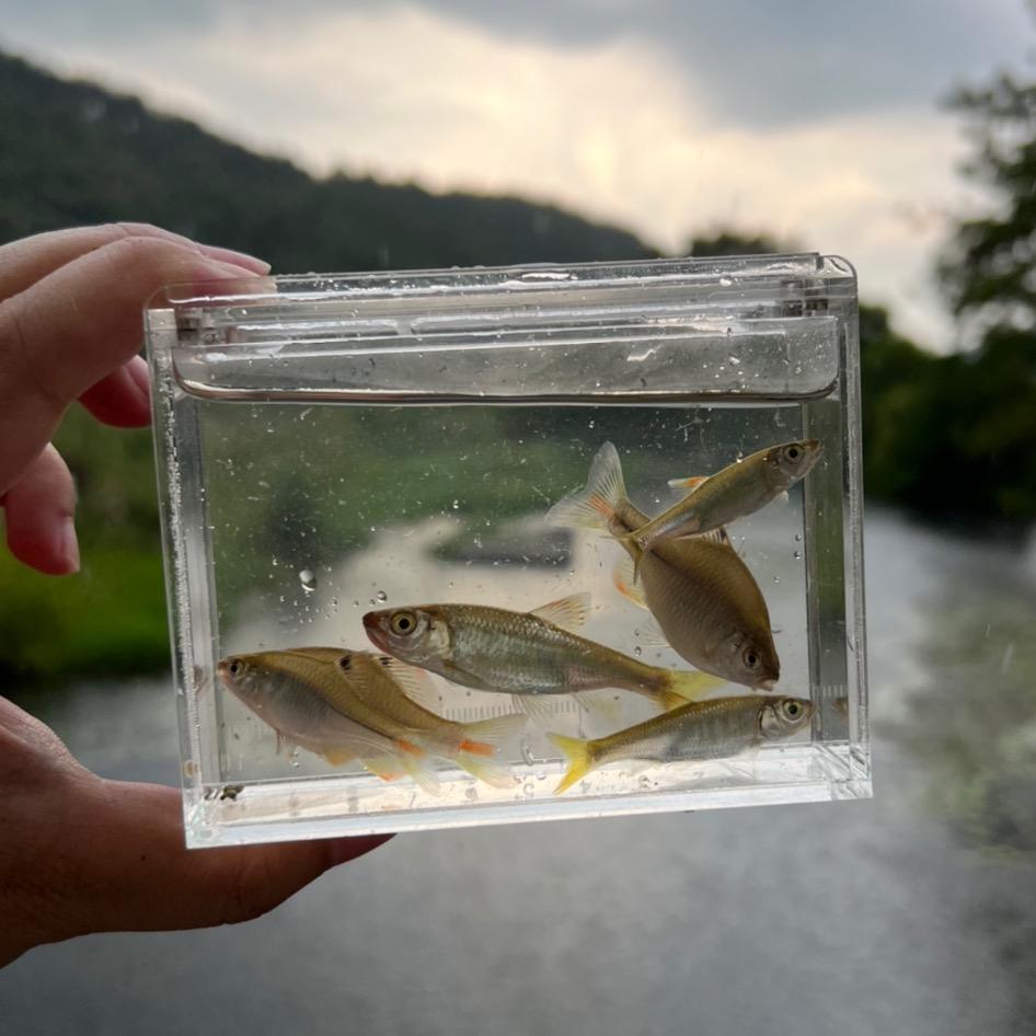 小物丧志的小志