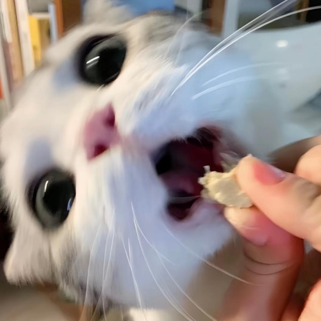 挽安