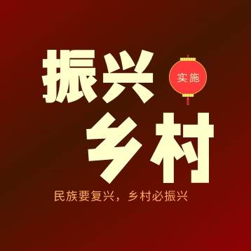 振兴乡村·纪实