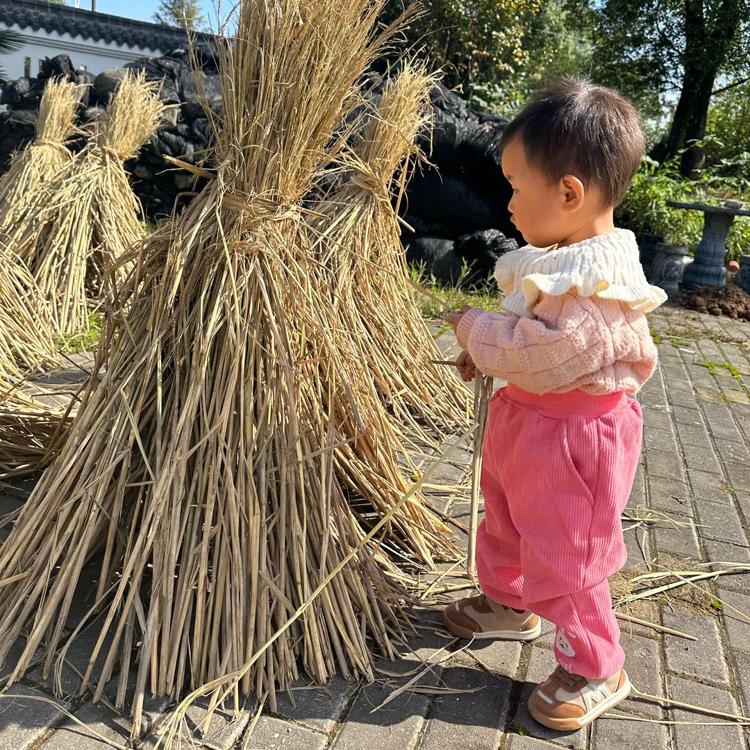 小余生活