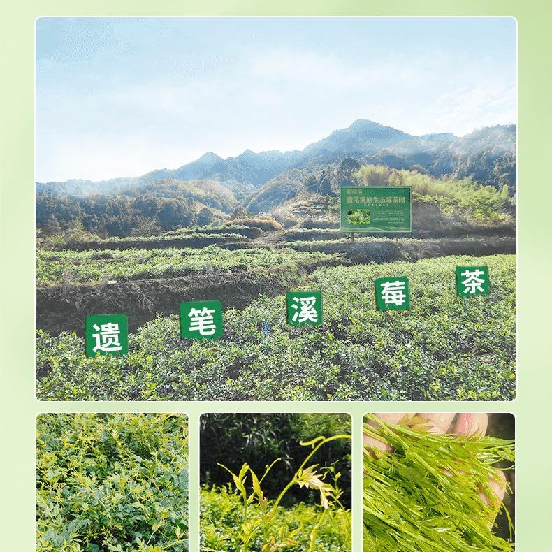 硒溪莓茶业