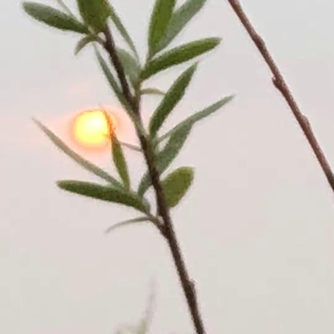 重生之我在抖音养别人老婆