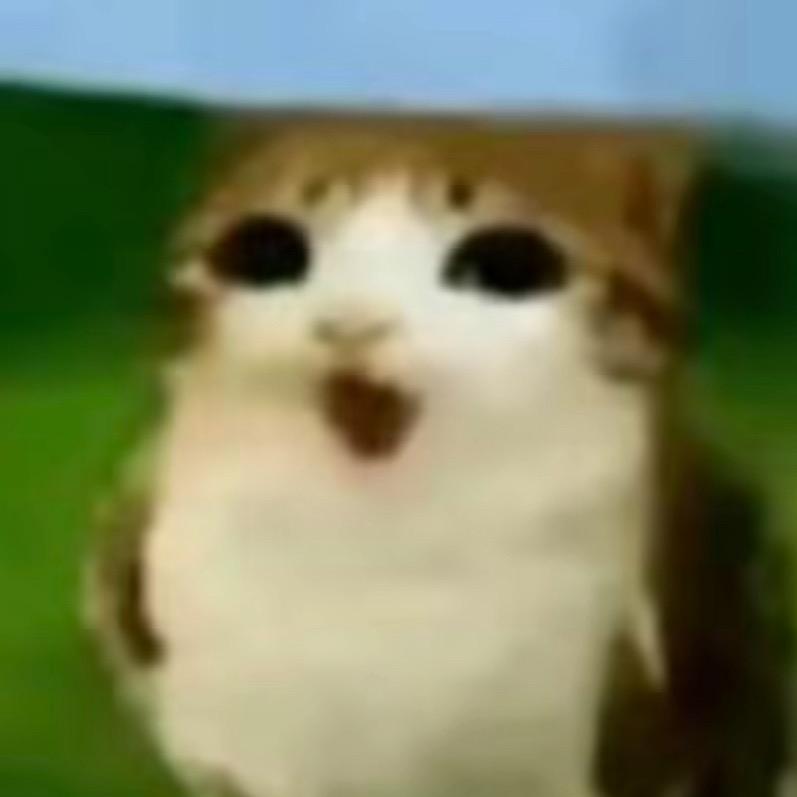 fish不在家，我下地嘎油嘎油👀