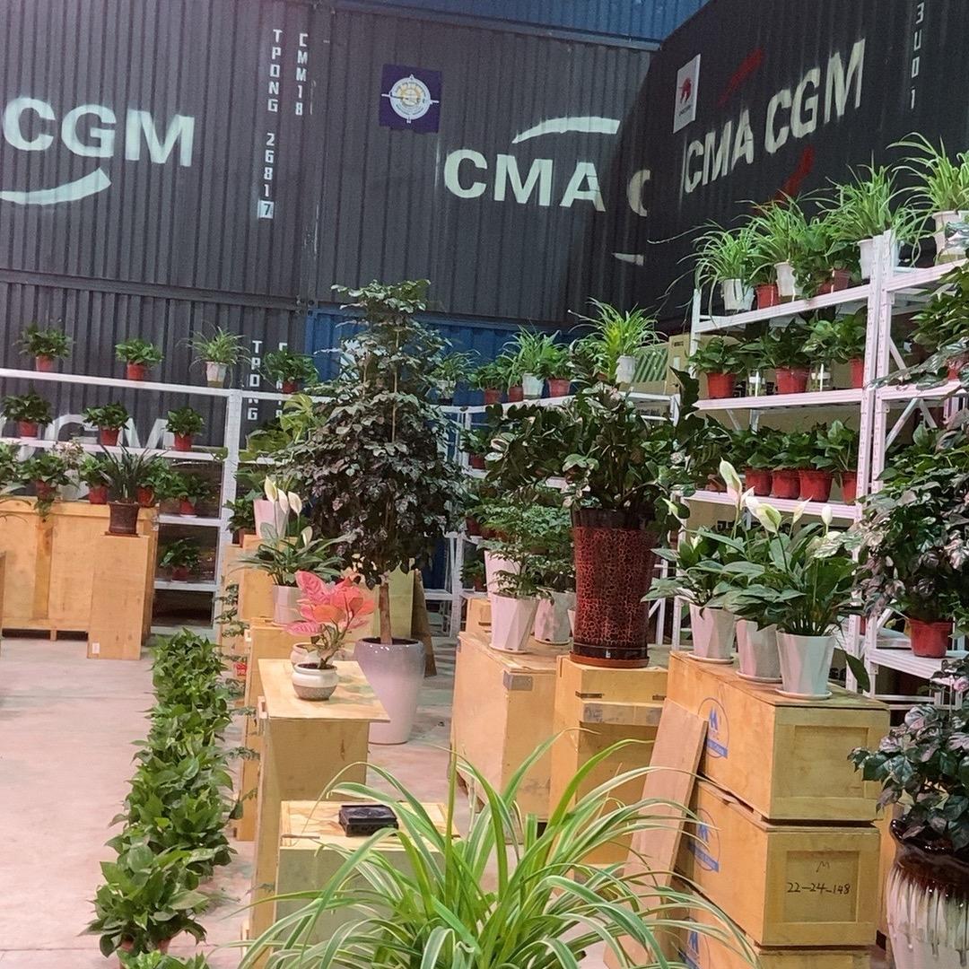 中育科培（许振华）