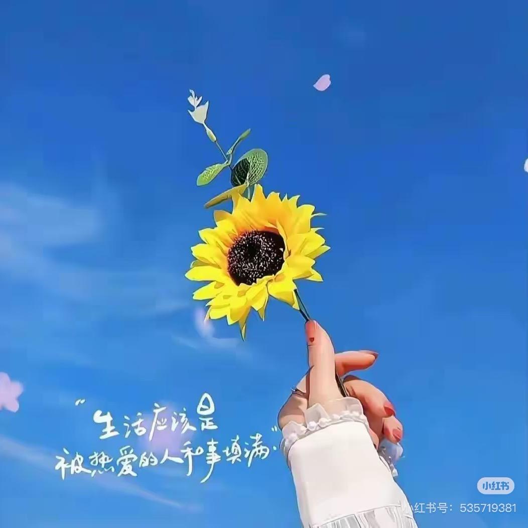 卖房子的小余儿