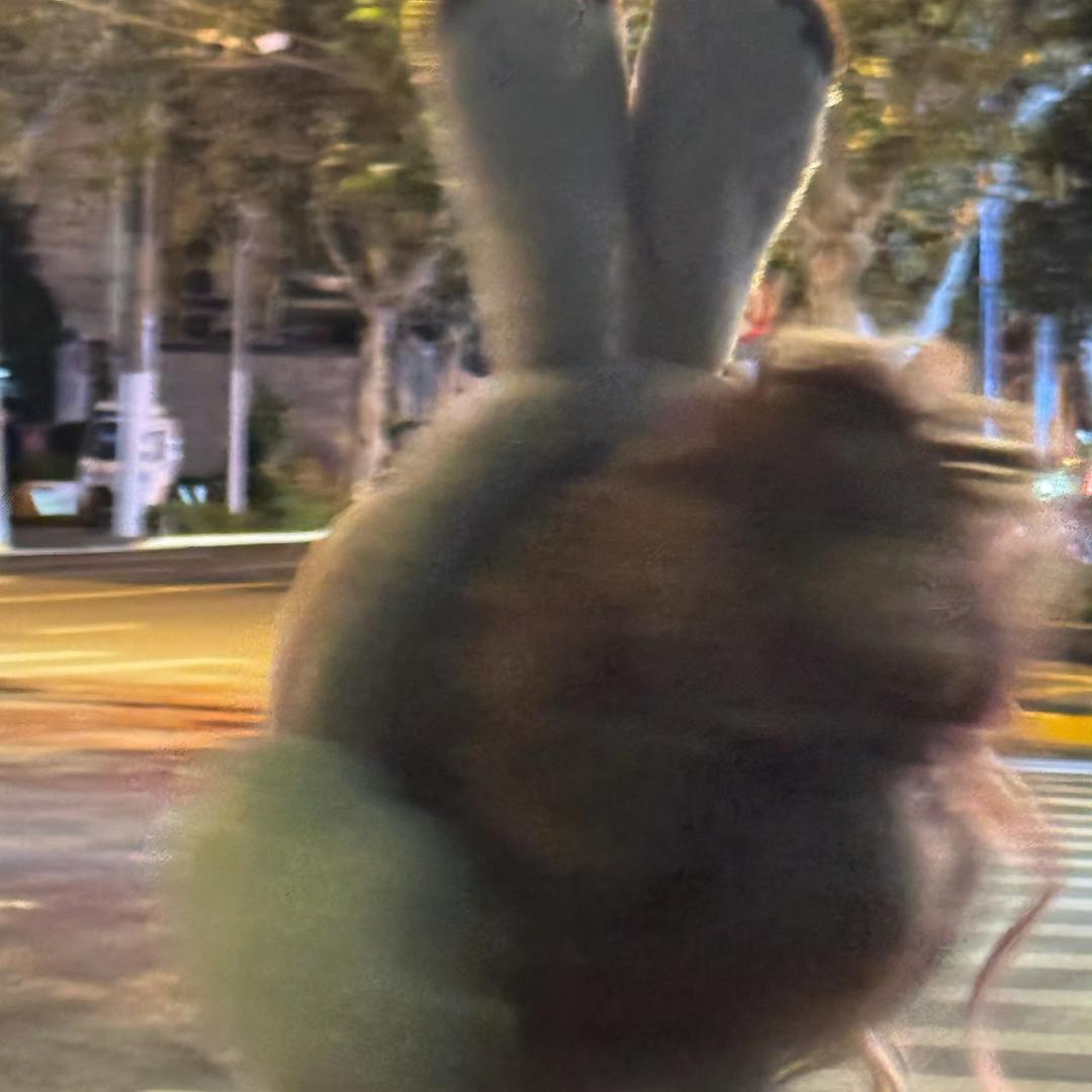 臭屁小狗🐶🐾우기