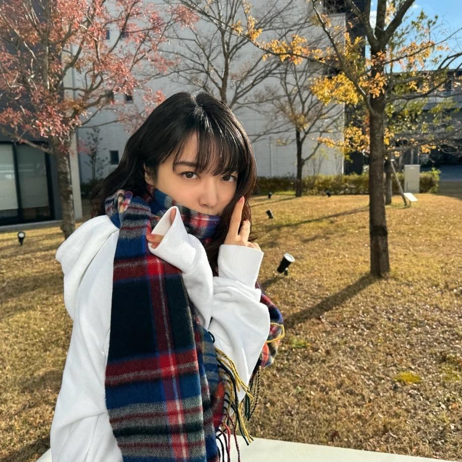 假如猫从世上消失