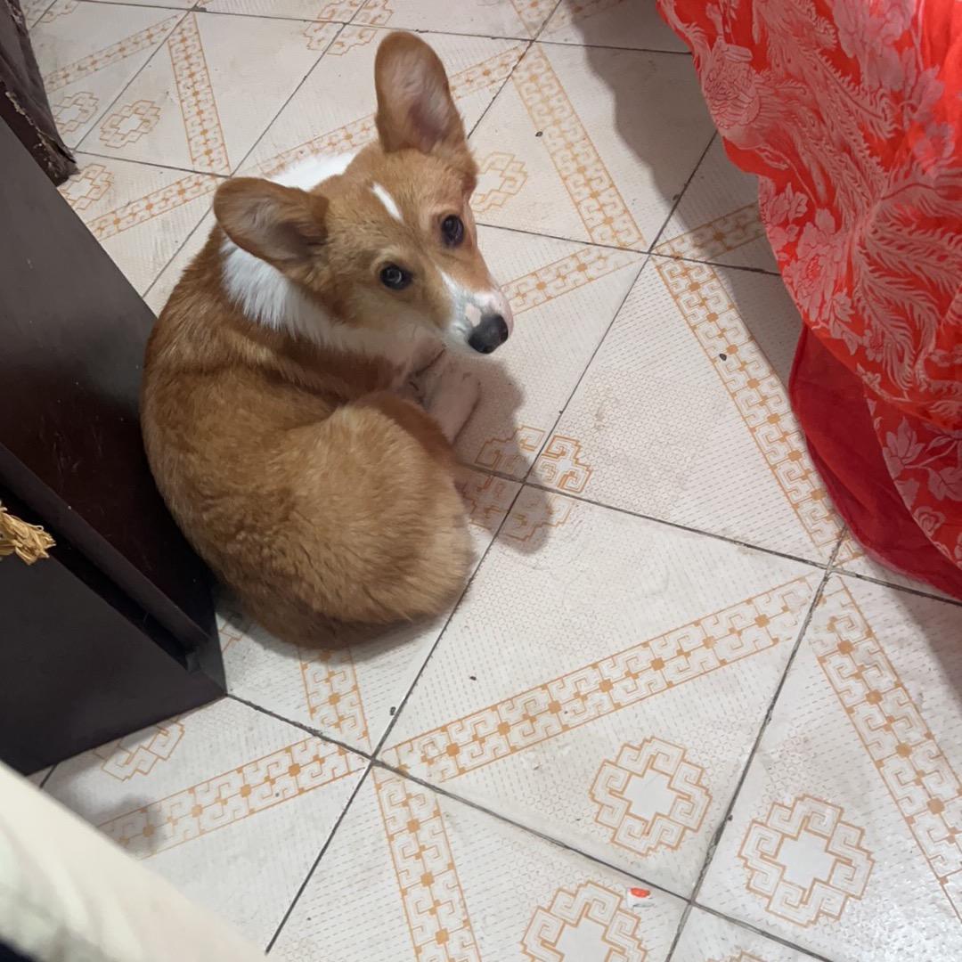 dnf瘾大大（全网最低托管）