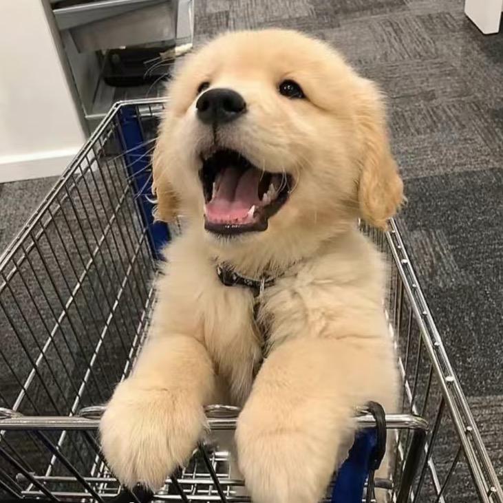 发呆