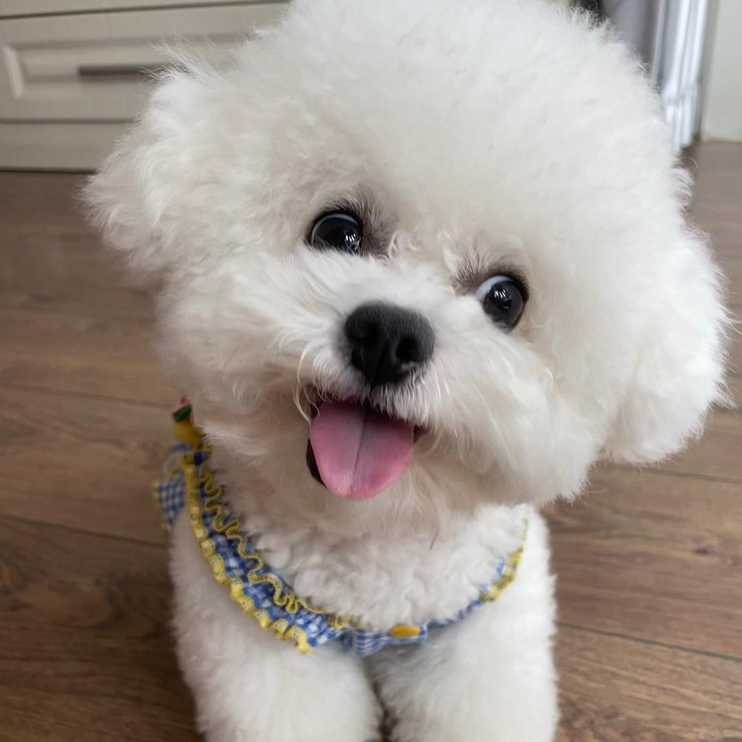 我是宝子呀@抖音