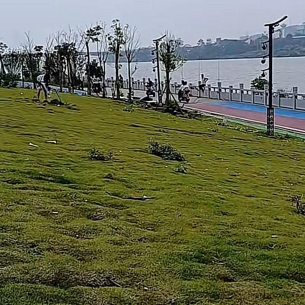浪迹天涯，