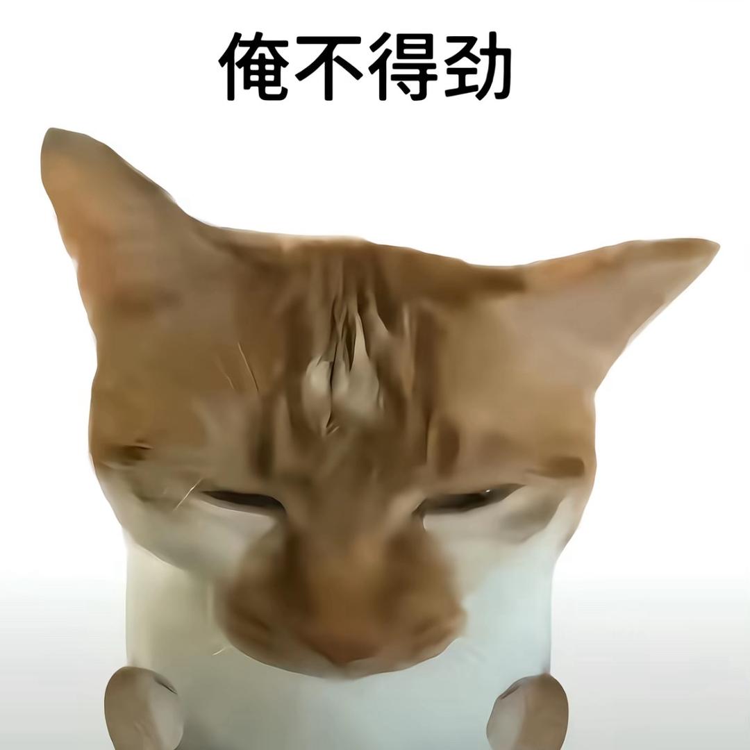 咔咔要睡觉