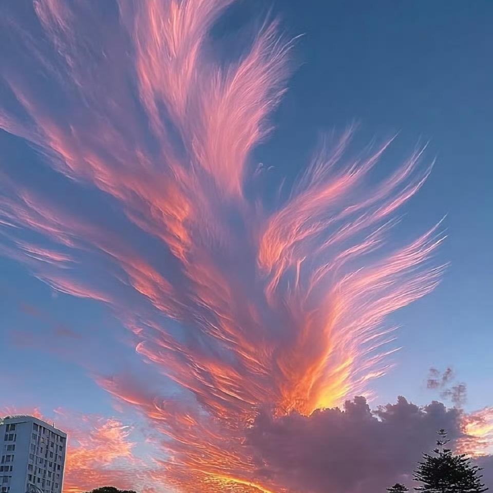 用户是个大老虎🐯